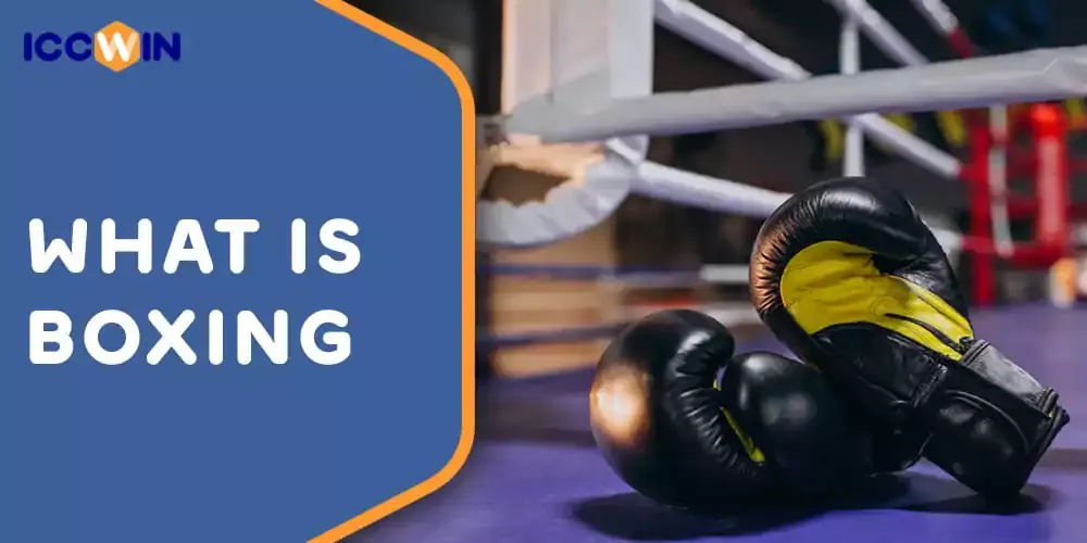 What is Boxing