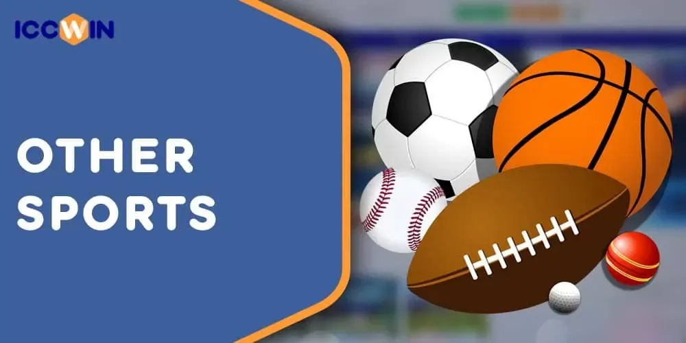 Other Sports Other Sports