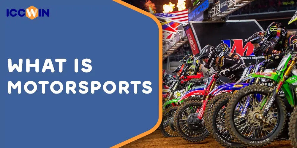 What is Motorsports
